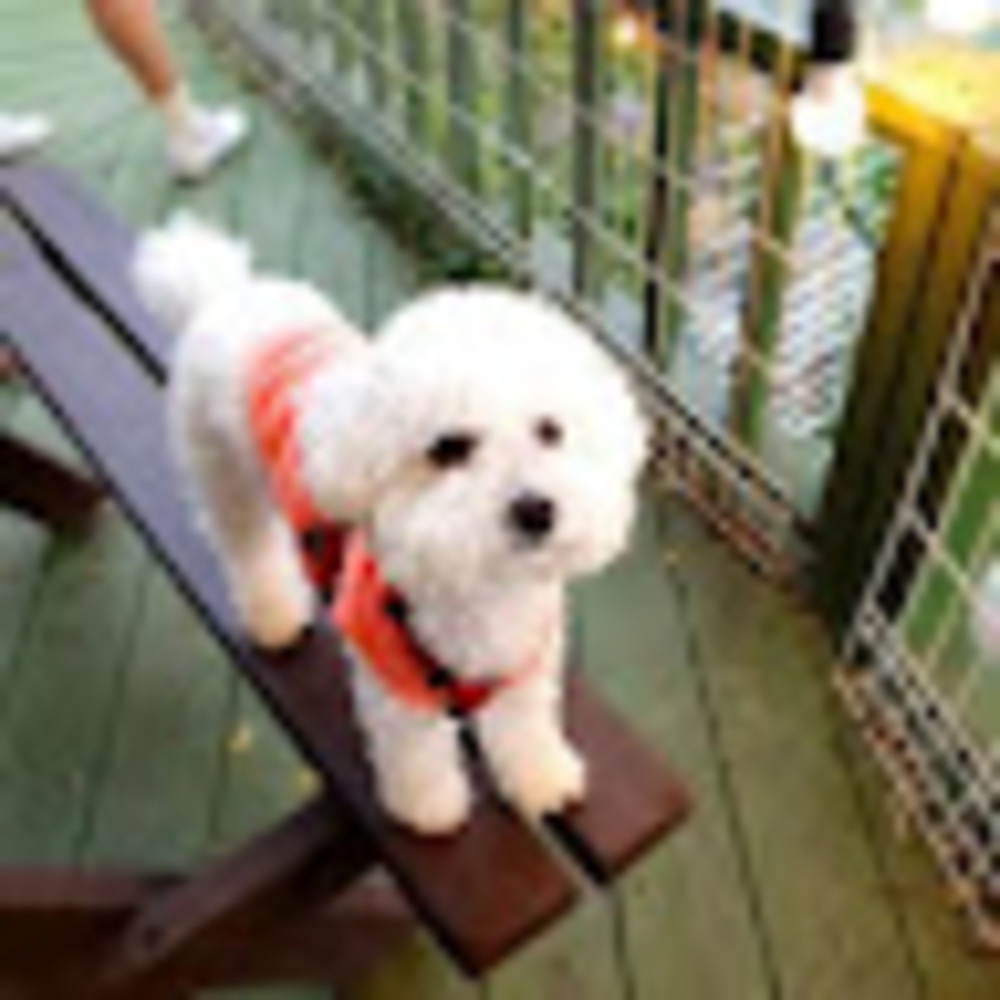 Meet your Posher, Sooyang